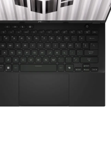 Ноутбук TUF Gaming FA401UU-RG053