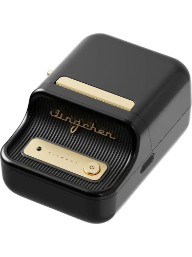 Термопринтер Niimbot B21S (1746727) 203dpi 60мм / с / USB / BT для печ.этик. черный
