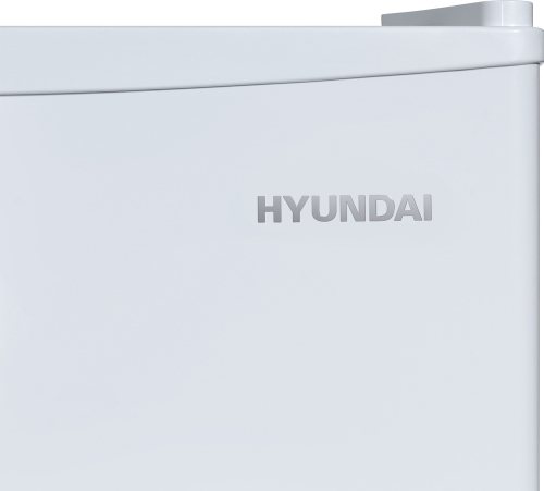 Холодильник Hyundai CO1003 