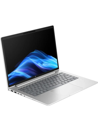 Ноутбук HP ProBook 4 G1iR, 14" (1920x1200) IPS/Intel Core 5 210H/16 ГБ DDR5/512 ГБ SSD/Intel Graphics/Без системы, Серебристый (C1LK3PC)