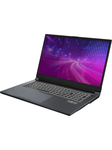 Ноутбук OSiO CyberLine C170i, 17.3" (1920x1080) IPS 144 Гц/Intel Core i5-12600H/16 ГБ DDR4/512 ГБ SSD/NVIDIA GeForce RTX 4050 для ноутбуков (6 Гб)/Без системы, Серый (C170I-002)