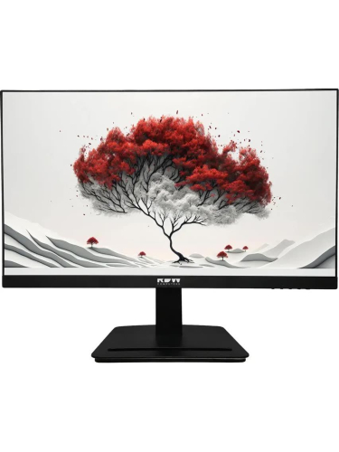 Монитор RDW Computers 23.8" RDW2401K черный IPS 1ms HDMI M/M 350cd 178гр/178гр 2560x1440 100Hz DP FHD USB (RUS)