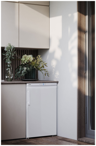 Морозильная камера Liebherr G 1223