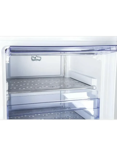 Морозильная камера Beko RFSK266T01G 