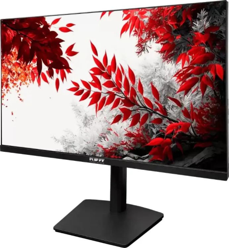 Монитор RDW Computers 31.5" RDW3207, 2560x1440 IPS 1ms 180Hz черный (3207K/Q12B3180V2A1B)