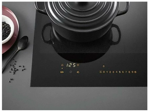 Панель конфорок Miele KM 7564 FL