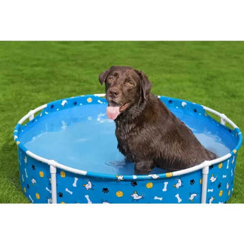 Каркасный бассейн для животных Bestway 561KM BW 122х30,5см "Fetchin' Fun Pet Play Pool"