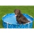 Каркасный бассейн для животных Bestway 561KM BW 122х30,5см "Fetchin' Fun Pet Play Pool" Каркасный бассейн для животных Bestway 561KM BW 122х30,5см "Fetchin' Fun Pet Play Pool"