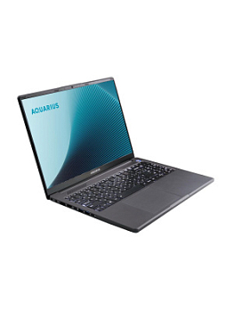 Ноутбук AQUARIUS Cmp NE356, 16" (1920x1200) IPS/AMD Ryzen 5 6600H/8 ГБ DDR5/256 ГБ SSD/AMD Radeon Graphics/Без системы, Серый (QRCN-NE356153318S125SCN2TNNNNN2)