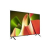 Телевизор LG OLED48B4RLA Телевизор LG OLED48B4RLA