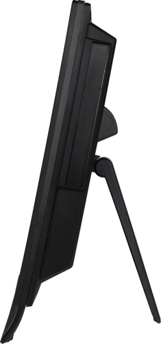 Моноблок MSI Pro AP162T ADL-016XRU 15.6" Full HD Touch N100 (0.8) 8Gb SSD512Gb UHDG CR без ОС клавиатура мышь Cam черный