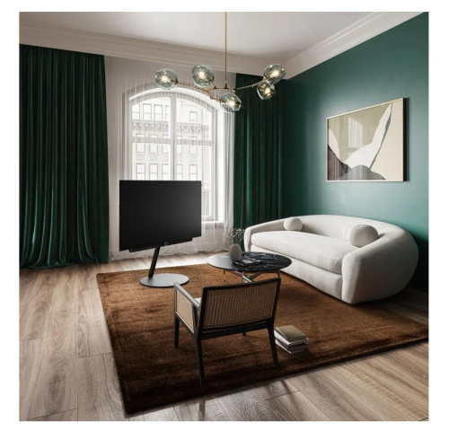 Loewe bild i.55 OLED basalt grey