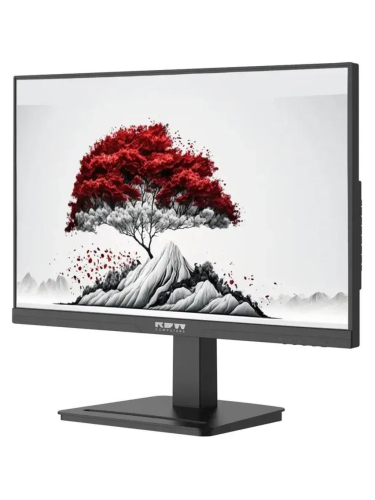 Монитор RDW Computers 23.8" RDW2401K черный IPS 1ms HDMI M/M 350cd 178гр/178гр 2560x1440 100Hz DP FHD USB (RUS)
