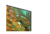 Телевизор Samsung QE85Q80DAUXCE