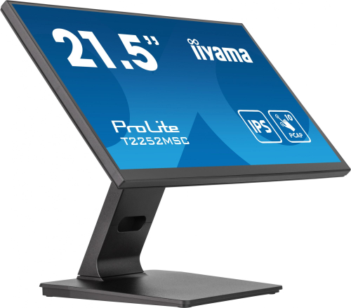 Монитор Iiyama 21.5" IPS FHD ProLite Touch T2252MSC-B2