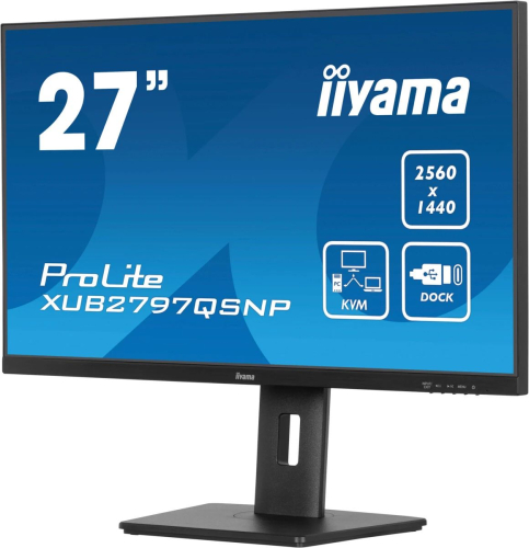 Монитор Iiyama 27" ProLite XUB2797QSNP-B1 черный IPS LED 16:9