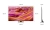 Телевизор Samsung QE65QN90FAUXCE